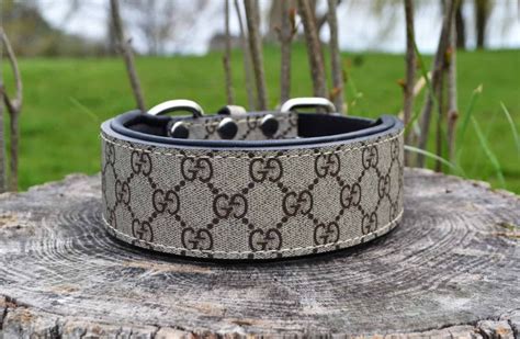 gucci dog.collar|authentic designer dog collars.